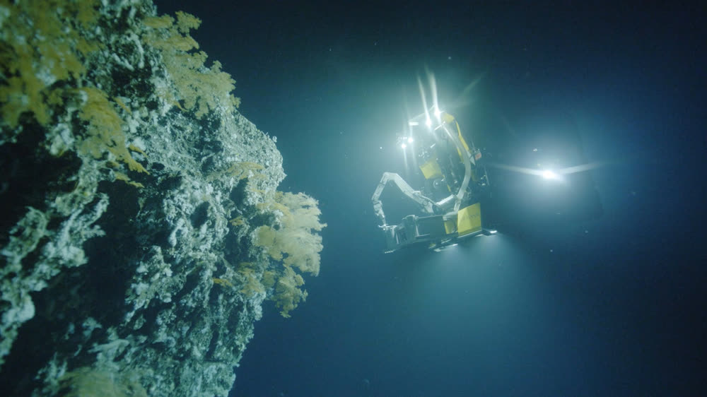 A lit submersible holding position beside a deep reef wall